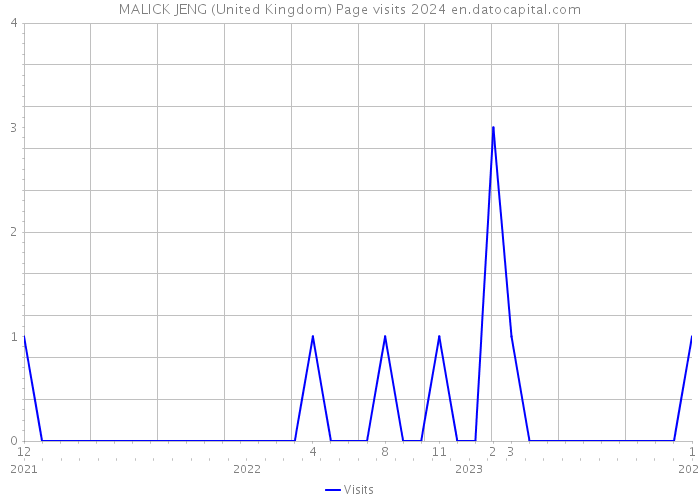 MALICK JENG (United Kingdom) Page visits 2024 