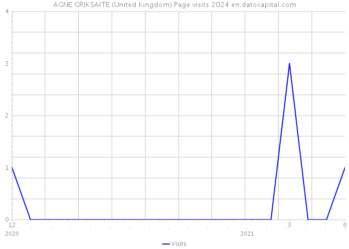 AGNE GRIKSAITE (United Kingdom) Page visits 2024 