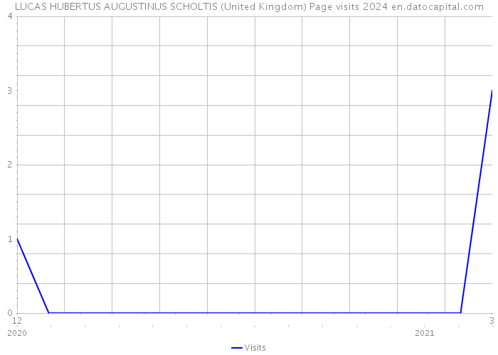 LUCAS HUBERTUS AUGUSTINUS SCHOLTIS (United Kingdom) Page visits 2024 