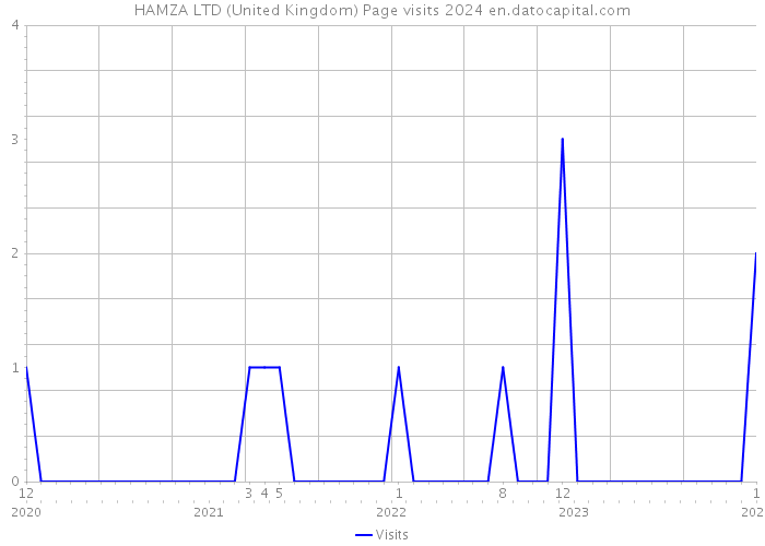 HAMZA LTD (United Kingdom) Page visits 2024 