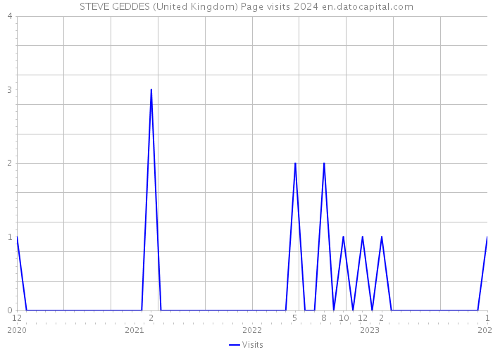 STEVE GEDDES (United Kingdom) Page visits 2024 
