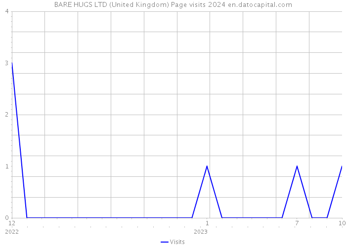 BARE HUGS LTD (United Kingdom) Page visits 2024 