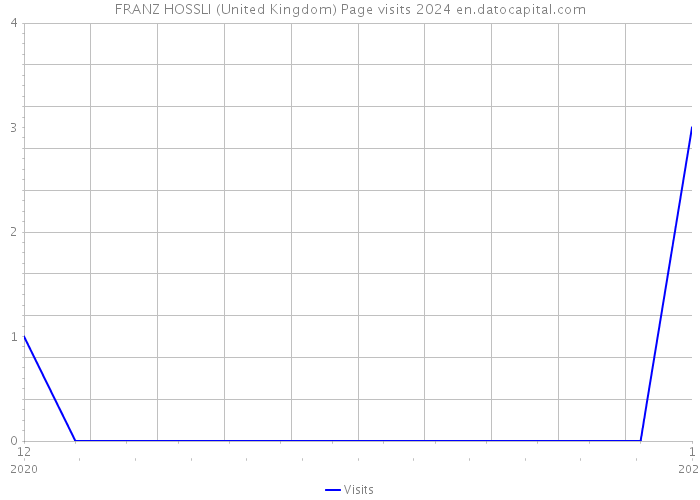 FRANZ HOSSLI (United Kingdom) Page visits 2024 