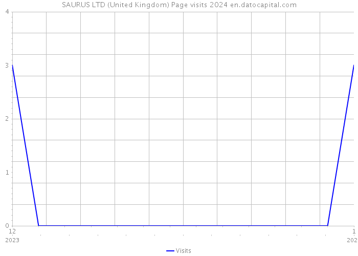 SAURUS LTD (United Kingdom) Page visits 2024 