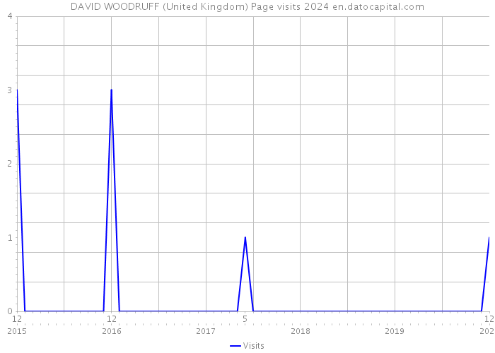 DAVID WOODRUFF (United Kingdom) Page visits 2024 