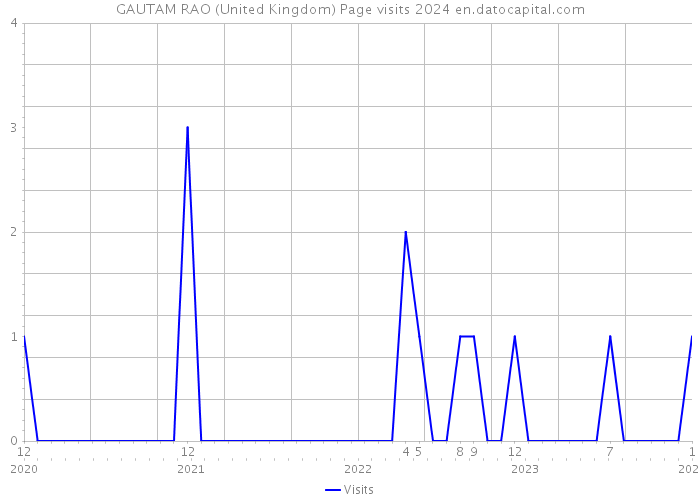 GAUTAM RAO (United Kingdom) Page visits 2024 