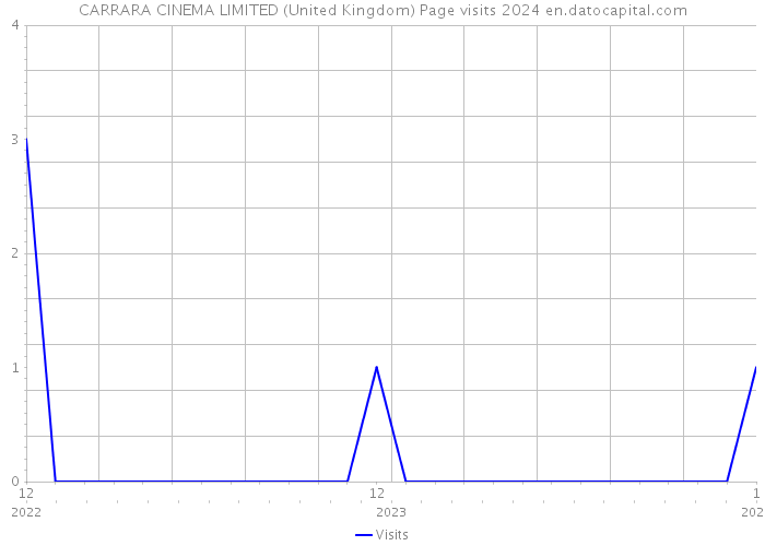 CARRARA CINEMA LIMITED (United Kingdom) Page visits 2024 