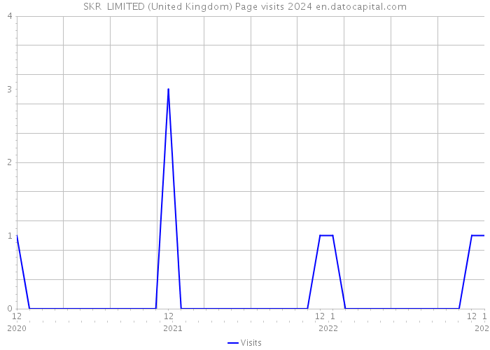 SKR LIMITED (United Kingdom) Page visits 2024 