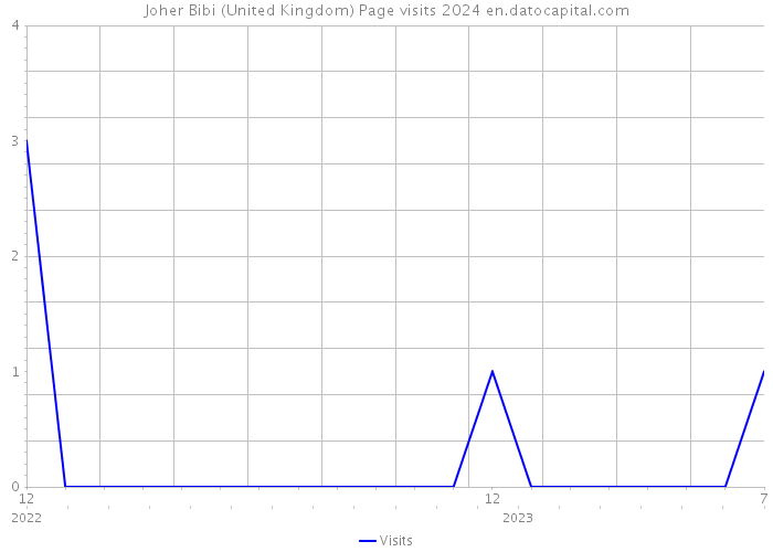 Joher Bibi (United Kingdom) Page visits 2024 