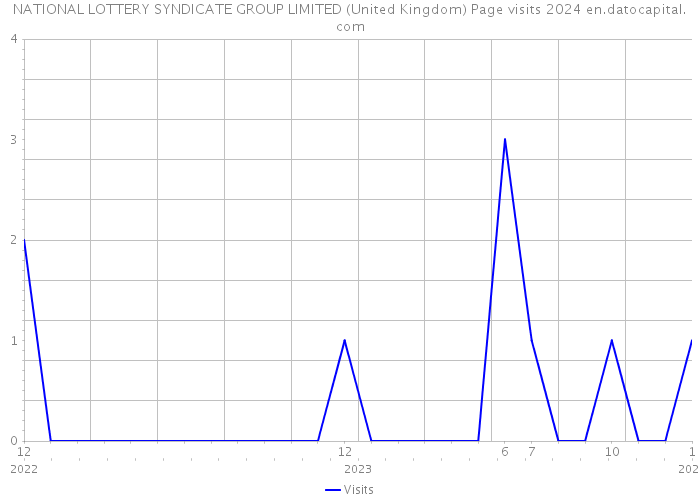 NATIONAL LOTTERY SYNDICATE GROUP LIMITED (United Kingdom) Page visits 2024 