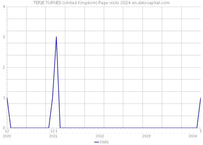 TERJE TURNES (United Kingdom) Page visits 2024 