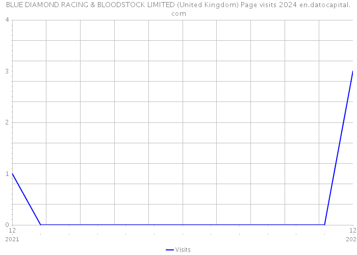 BLUE DIAMOND RACING & BLOODSTOCK LIMITED (United Kingdom) Page visits 2024 