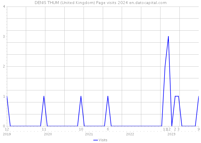 DENIS THUM (United Kingdom) Page visits 2024 