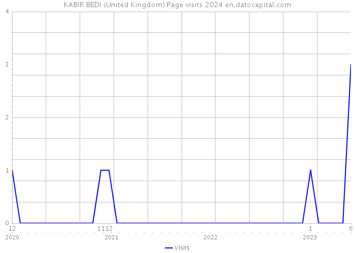 KABIR BEDI (United Kingdom) Page visits 2024 