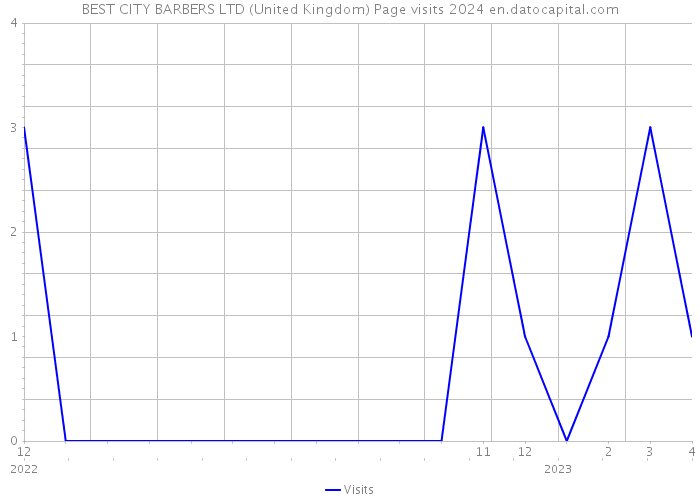 BEST CITY BARBERS LTD (United Kingdom) Page visits 2024 