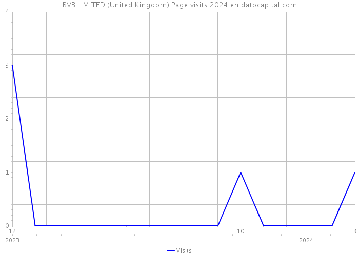 BVB LIMITED (United Kingdom) Page visits 2024 