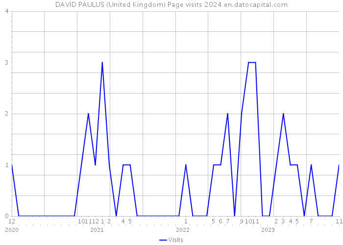 DAVID PAULUS (United Kingdom) Page visits 2024 