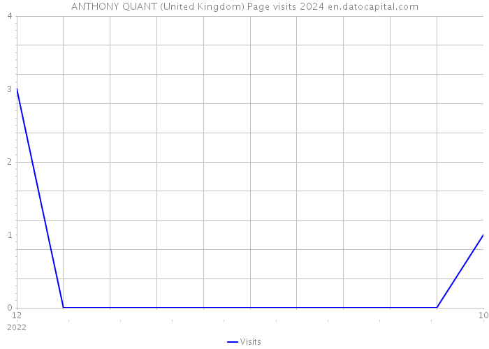 ANTHONY QUANT (United Kingdom) Page visits 2024 