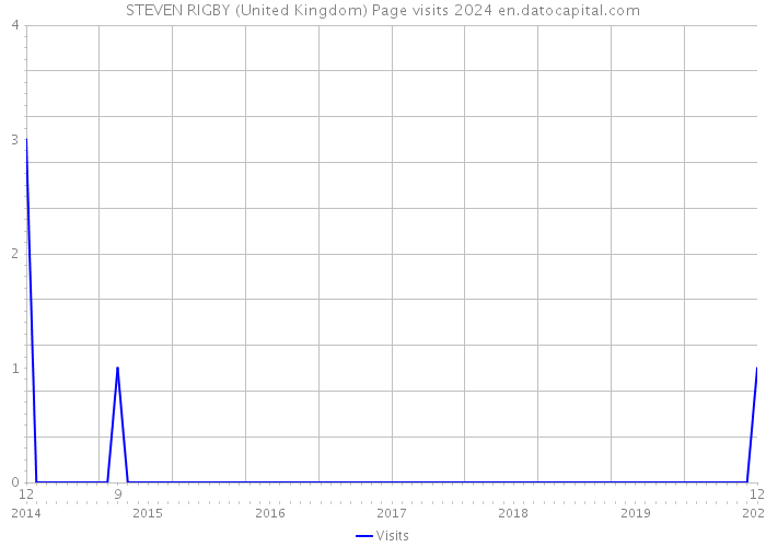 STEVEN RIGBY (United Kingdom) Page visits 2024 