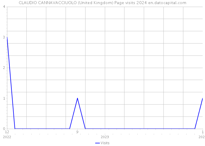 CLAUDIO CANNAVACCIUOLO (United Kingdom) Page visits 2024 