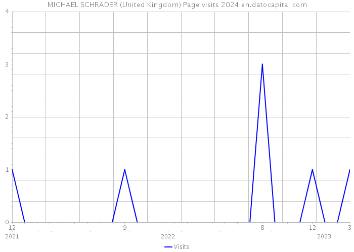 MICHAEL SCHRADER (United Kingdom) Page visits 2024 
