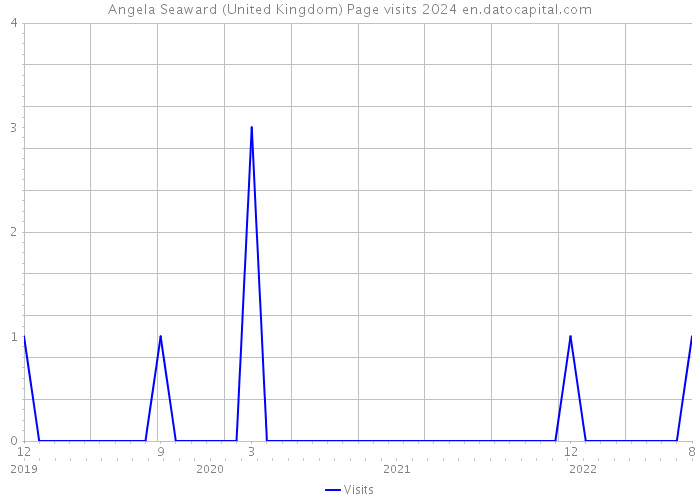 Angela Seaward (United Kingdom) Page visits 2024 