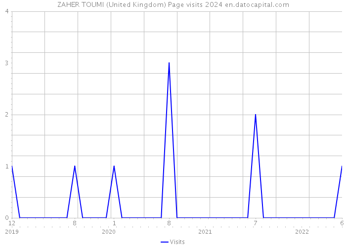 ZAHER TOUMI (United Kingdom) Page visits 2024 