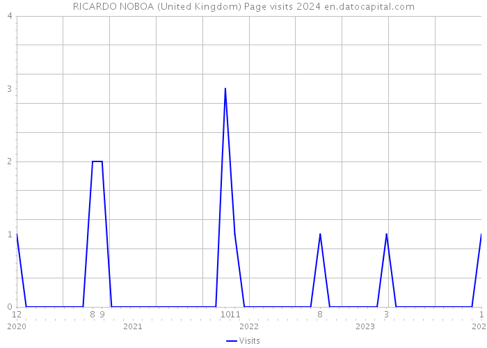 RICARDO NOBOA (United Kingdom) Page visits 2024 