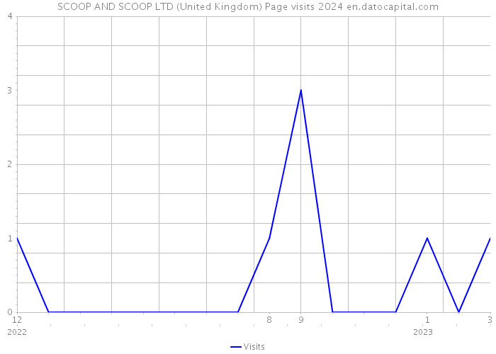 SCOOP AND SCOOP LTD (United Kingdom) Page visits 2024 
