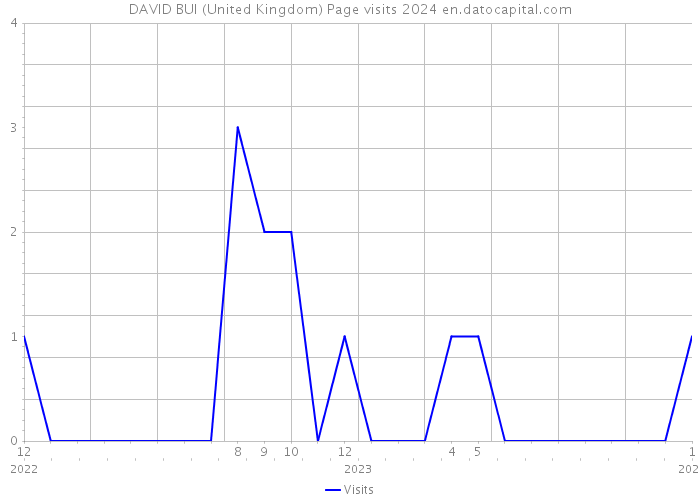 DAVID BUI (United Kingdom) Page visits 2024 