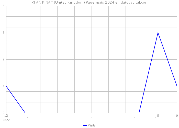 IRFAN KINAY (United Kingdom) Page visits 2024 