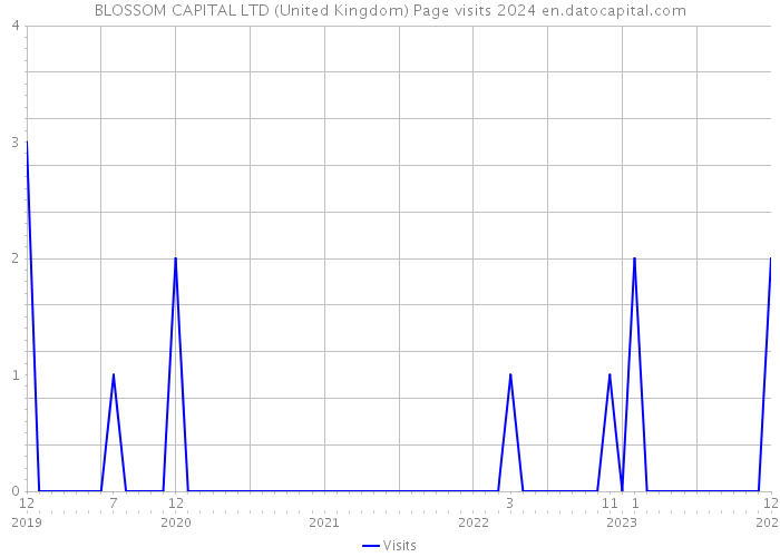 BLOSSOM CAPITAL LTD (United Kingdom) Page visits 2024 