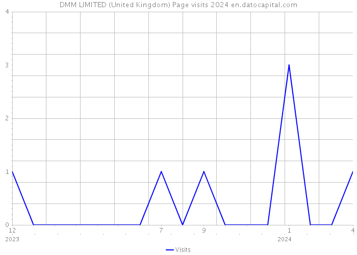 DMM LIMITED (United Kingdom) Page visits 2024 
