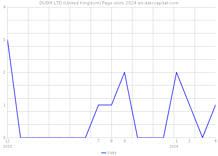 DUSHI LTD (United Kingdom) Page visits 2024 