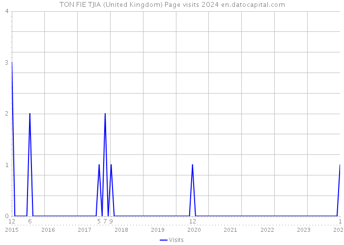 TON FIE TJIA (United Kingdom) Page visits 2024 