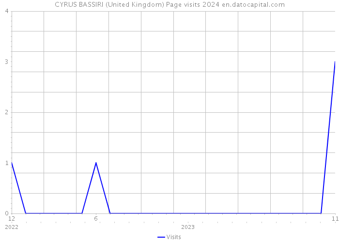 CYRUS BASSIRI (United Kingdom) Page visits 2024 