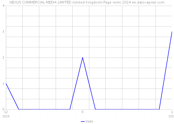 NEXUS COMMERCIAL MEDIA LIMITED (United Kingdom) Page visits 2024 