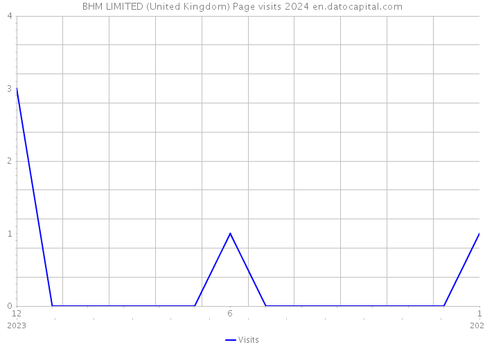 BHM LIMITED (United Kingdom) Page visits 2024 