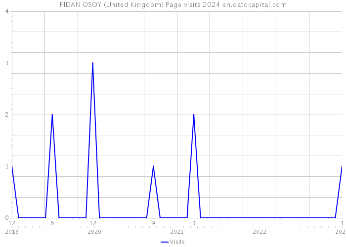 FIDAN OSOY (United Kingdom) Page visits 2024 