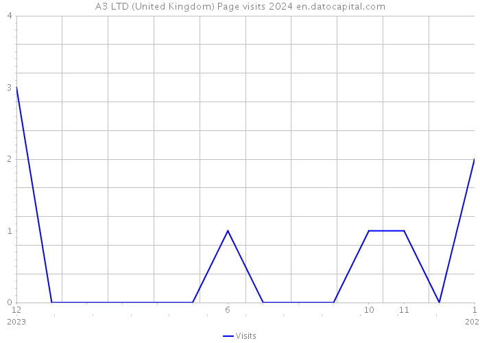 A3 LTD (United Kingdom) Page visits 2024 