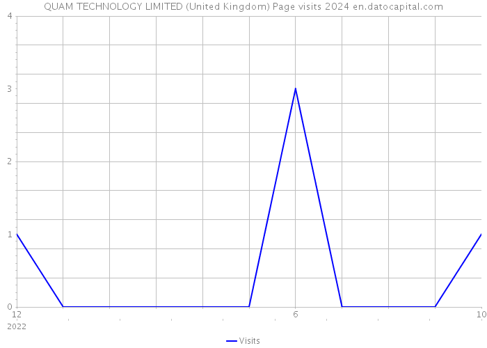 QUAM TECHNOLOGY LIMITED (United Kingdom) Page visits 2024 
