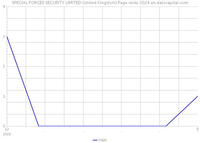 SPECIAL FORCES SECURITY LIMITED (United Kingdom) Page visits 2024 