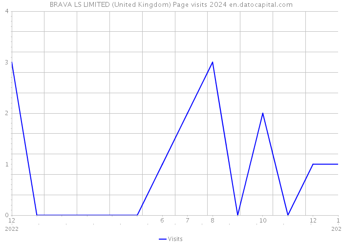 BRAVA LS LIMITED (United Kingdom) Page visits 2024 