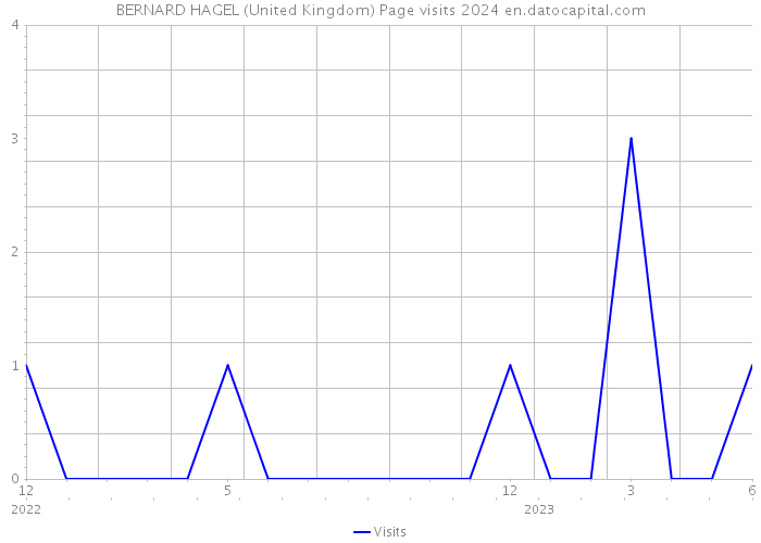 BERNARD HAGEL (United Kingdom) Page visits 2024 