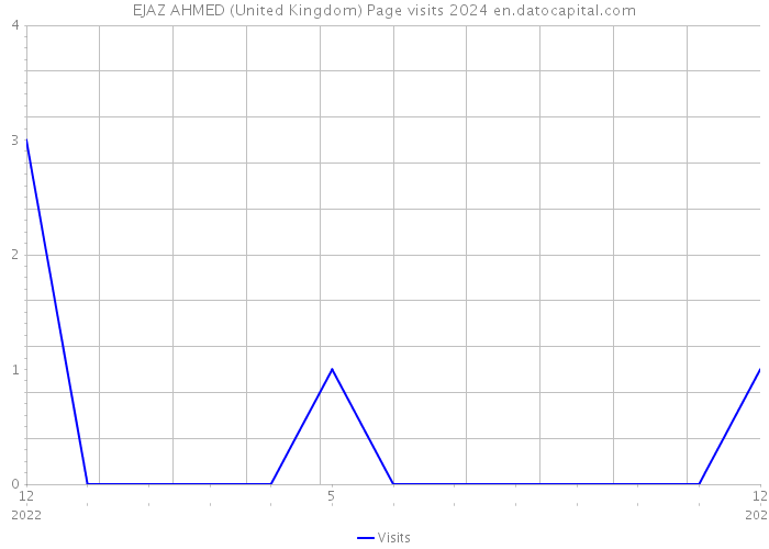 EJAZ AHMED (United Kingdom) Page visits 2024 