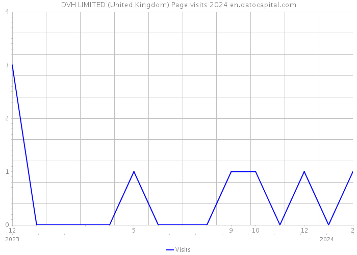 DVH LIMITED (United Kingdom) Page visits 2024 