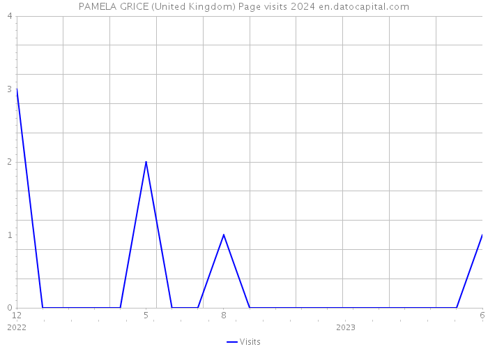 PAMELA GRICE (United Kingdom) Page visits 2024 