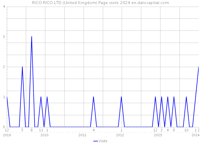 RICO RICO LTD (United Kingdom) Page visits 2024 