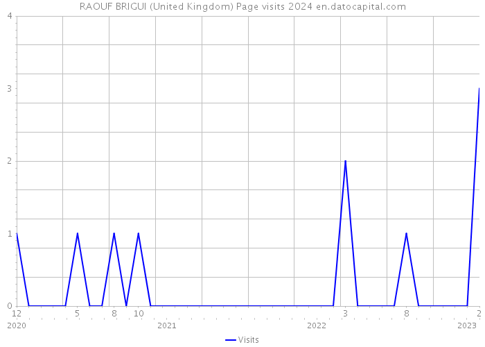 RAOUF BRIGUI (United Kingdom) Page visits 2024 