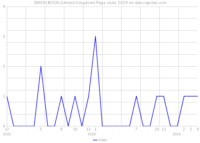 SIMON BOON (United Kingdom) Page visits 2024 